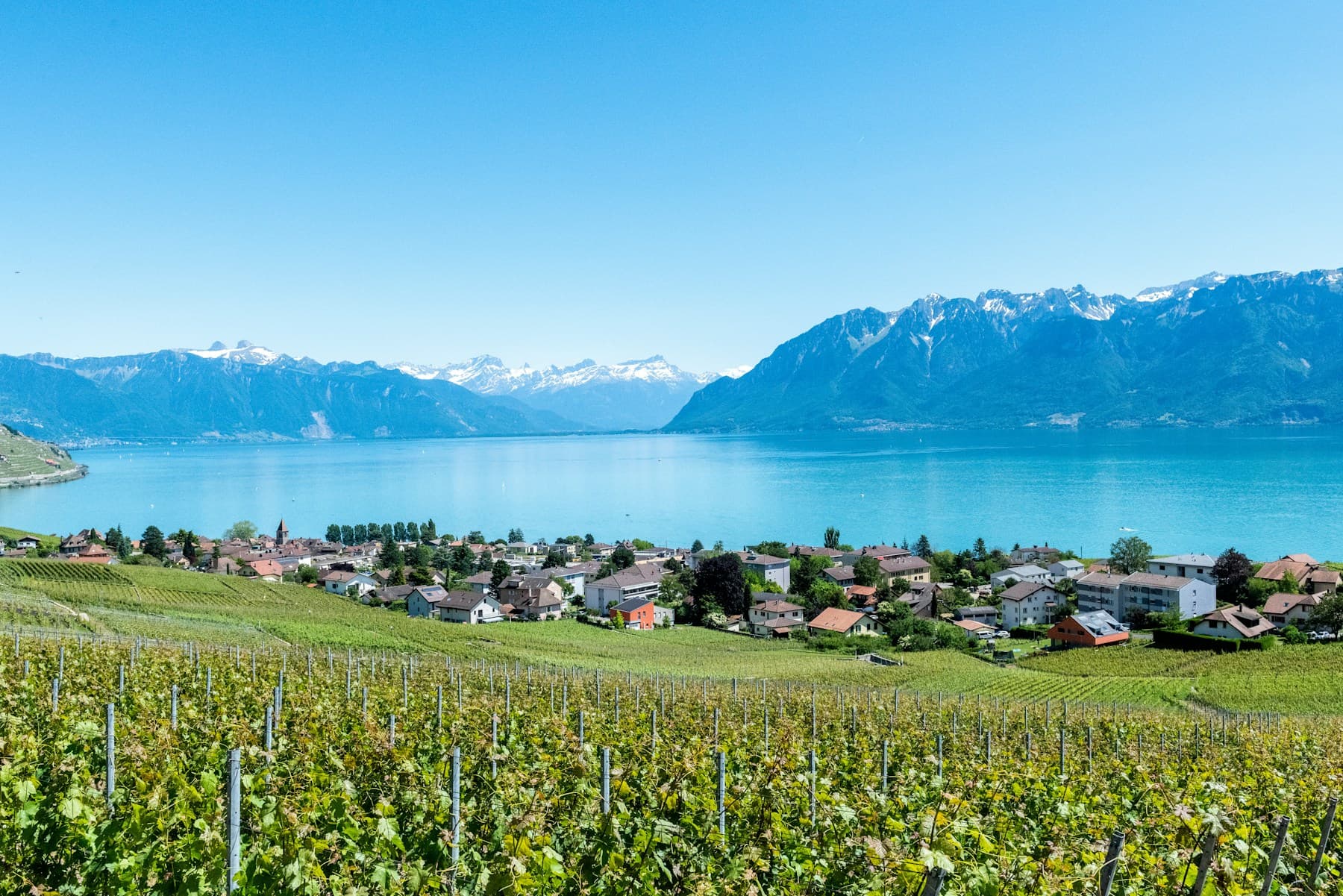 Lake Léman and the Alps seen from the Canton of Vaud
